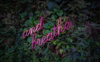victor-garcia-BiGS_w9t7FU-unsplash
